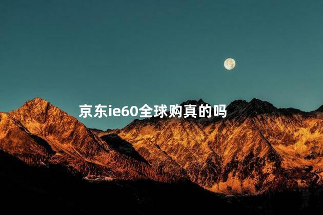 京东ie60全球购真的吗