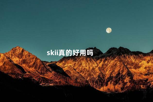 skii真的好用吗