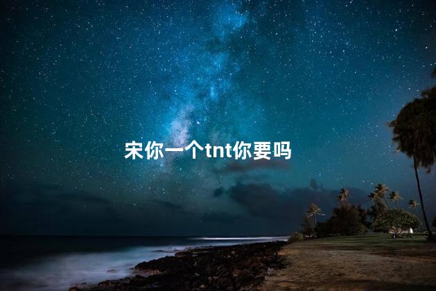 宋你一个tnt你要吗