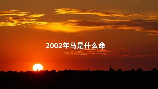 2002年马是什么命