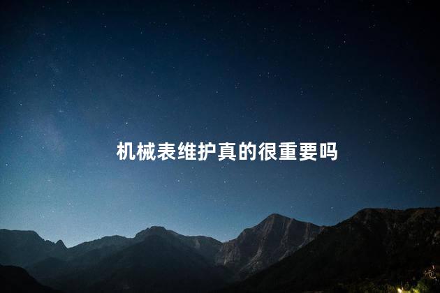 机械表维护真的很重要吗