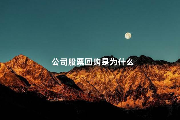 公司股票回购是为什么