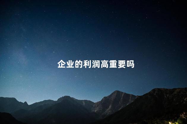 企业的利润高重要吗