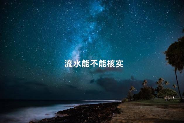 流水能不能核实