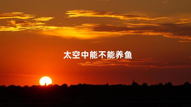 太空中能不能养鱼