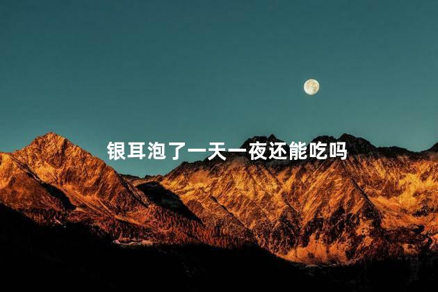 银耳泡了一天一夜还能吃吗