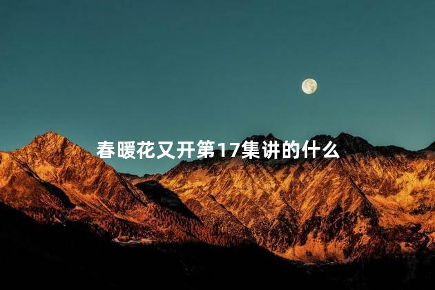 春暖花又开第17集讲的什么