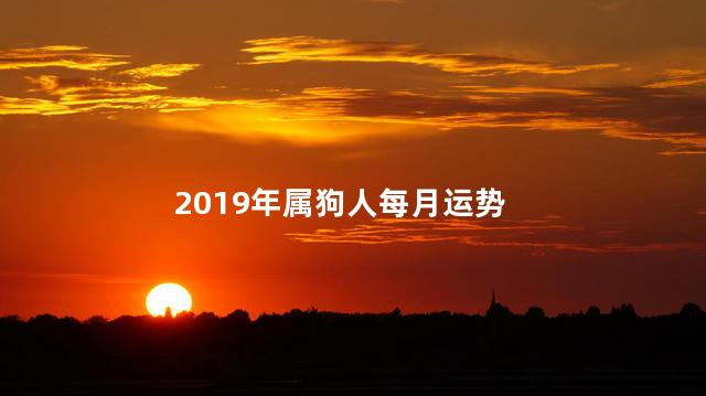 2019年属狗人每月运势