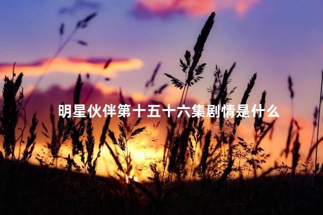 明星伙伴第十五十六集剧情是什么