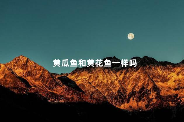 黄瓜鱼和黄花鱼一样吗