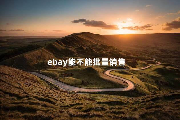 ebay能不能批量销售