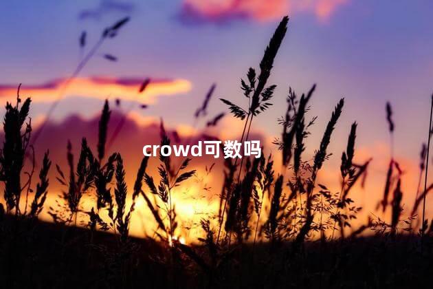 crowd可数吗