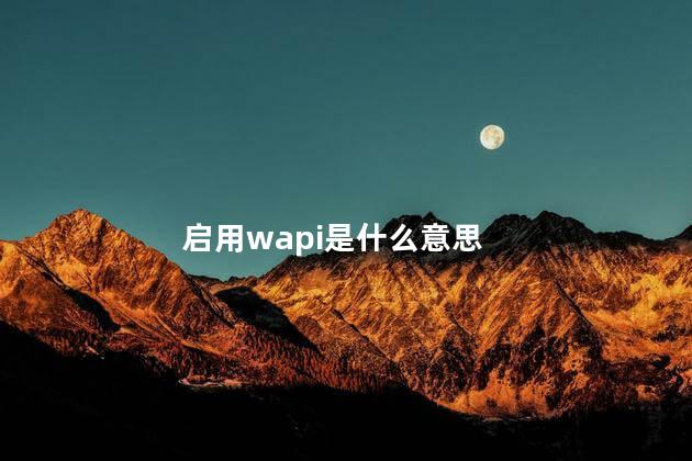 启用wapi是什么意思