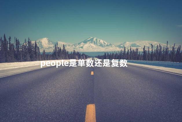 people是单数还是复数