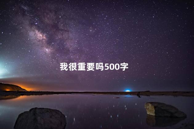 我很重要吗500字