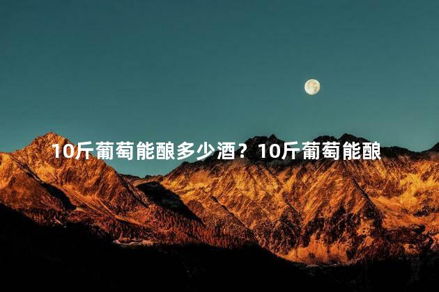 10斤葡萄能酿多少酒？10斤葡萄能酿多少斤葡萄酒？