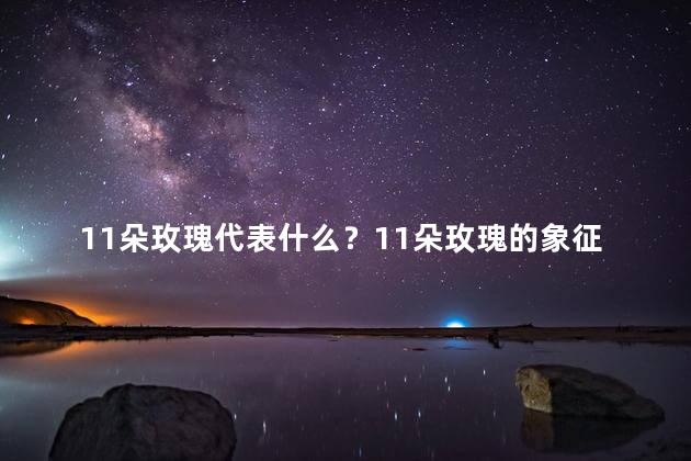 11朵玫瑰代表什么？11朵玫瑰的象征意义