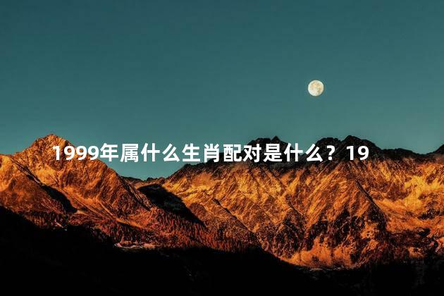 1999年属什么生肖配对是什么？1999年属什么生肖的配对？