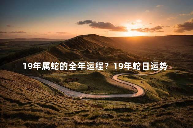 19年属蛇的全年运程？19年蛇日运势：事业顺遂，求财有望