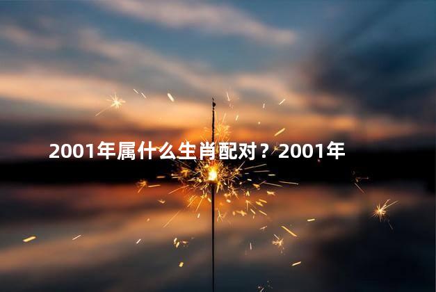 2001年属什么生肖配对？2001年生肖配对，可爱的动物们！