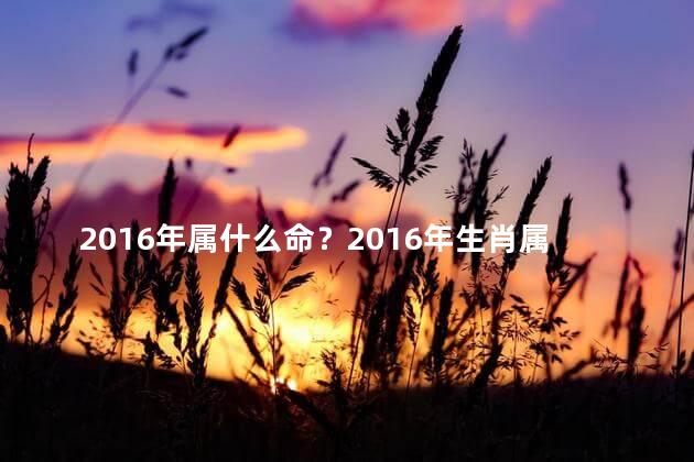 2016年属什么命？2016年生肖属相，你属什么？