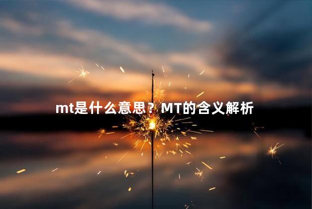 mt是什么意思？MT的含义解析