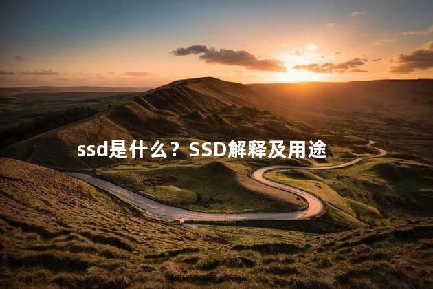 ssd是什么？SSD解释及用途