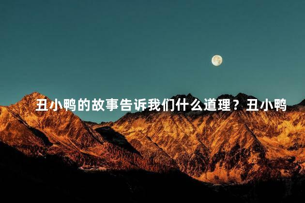 丑小鸭的故事告诉我们什么道理？丑小鸭：蜕变自爱的力量