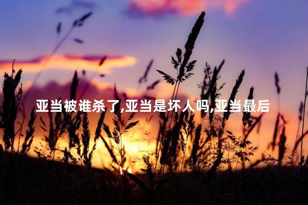 亚当被谁杀了，亚当是坏人吗