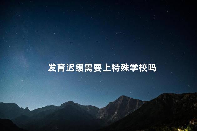 发育迟缓需要上特殊学校吗