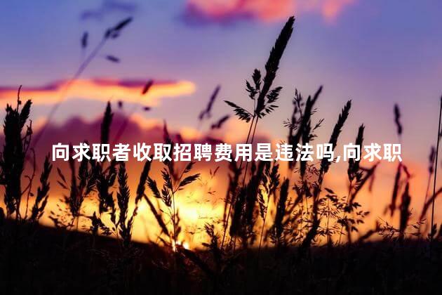 向求职者收取招聘费用是违法吗，向求职者收取招聘费用是违法吗