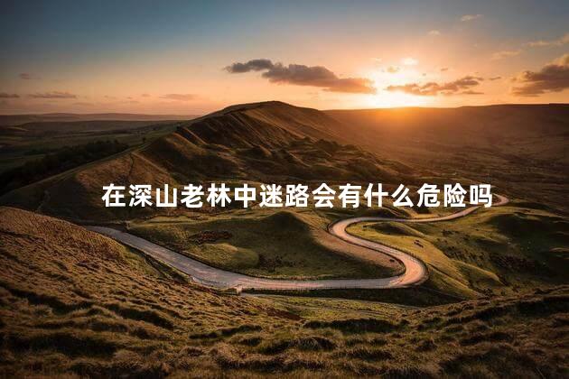 在深山老林中迷路会有什么危险吗