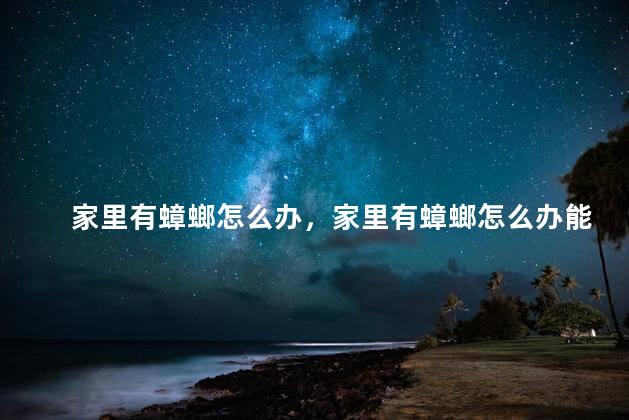 家里有蟑螂怎么办，家里有蟑螂怎么办能除根