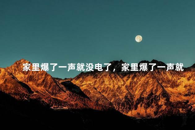 家里爆了一声就没电了，家里爆了一声就没电了但电闸没跳