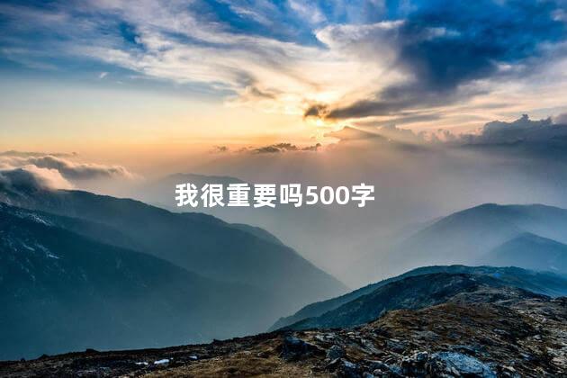 我很重要吗500字