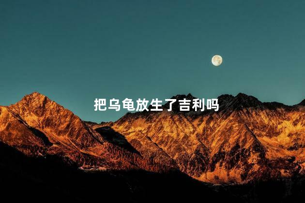 把乌龟放生了吉利吗