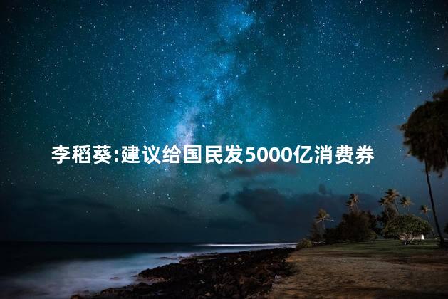 李稻葵:建议给国民发5000亿消费券