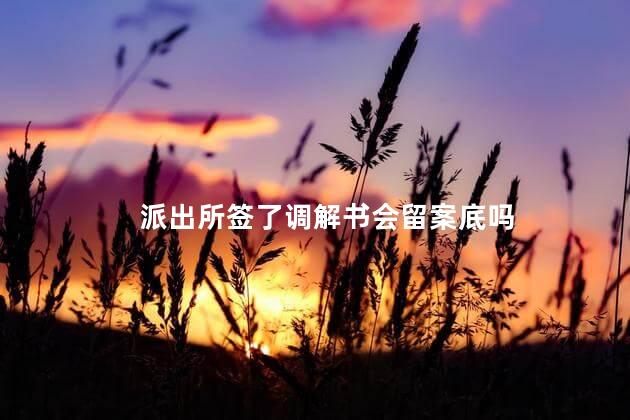 派出所签了调解书会留案底吗