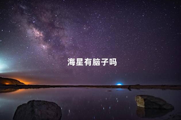 海星有脑子吗