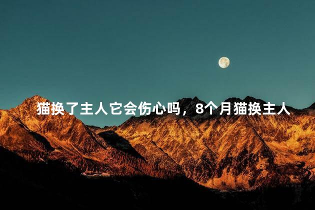 猫换了主人它会伤心吗，8个月猫换主人会伤心吗