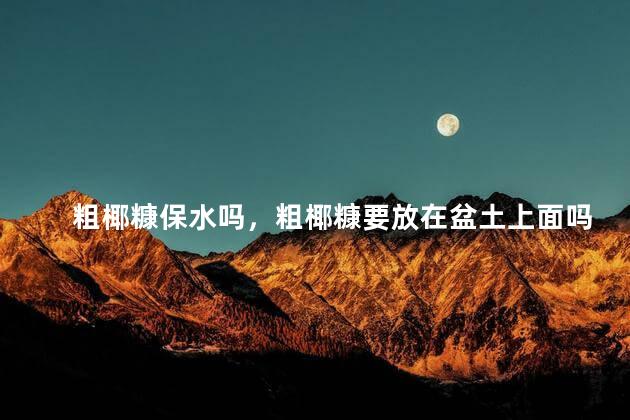 粗椰糠保水吗，粗椰糠要放在盆土上面吗