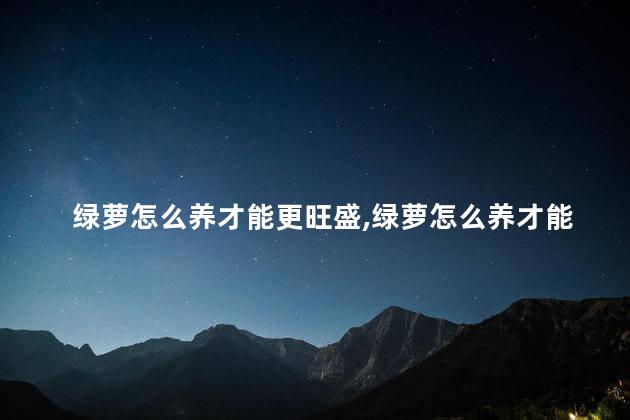 绿萝怎么养才能更旺盛，绿萝怎么养才能更旺盛酱油