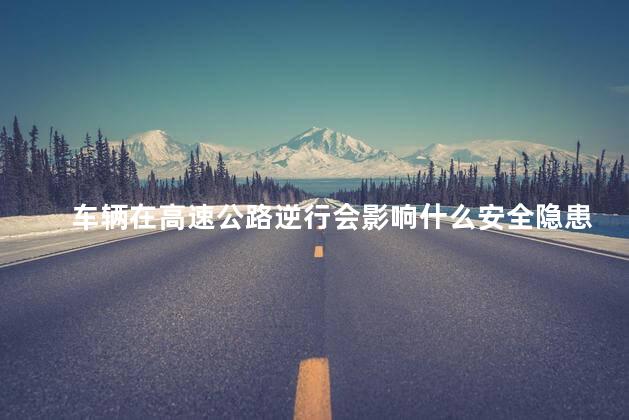 车辆在高速公路逆行会影响什么安全隐患，车辆在高速公路逆行会影响什么安全隐患呢